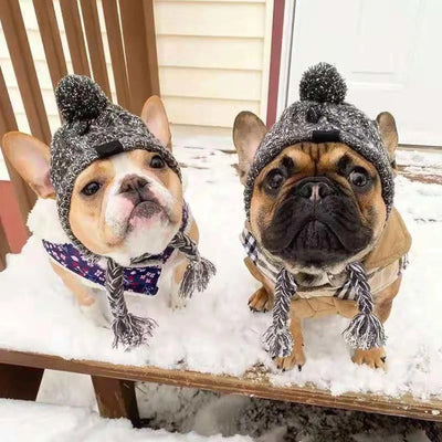 https://cdn.shopify.com/s/files/1/0647/9170/7830/files/bonnet-coupe-vent-pour-chien-4487229.webp?v=1777925349