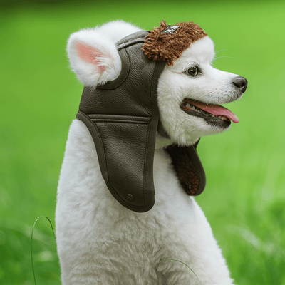 https://cdn.shopify.com/s/files/1/0647/9170/7830/files/bonnet-en-cachemire-pour-chien-5724175.png?v=1777925649
