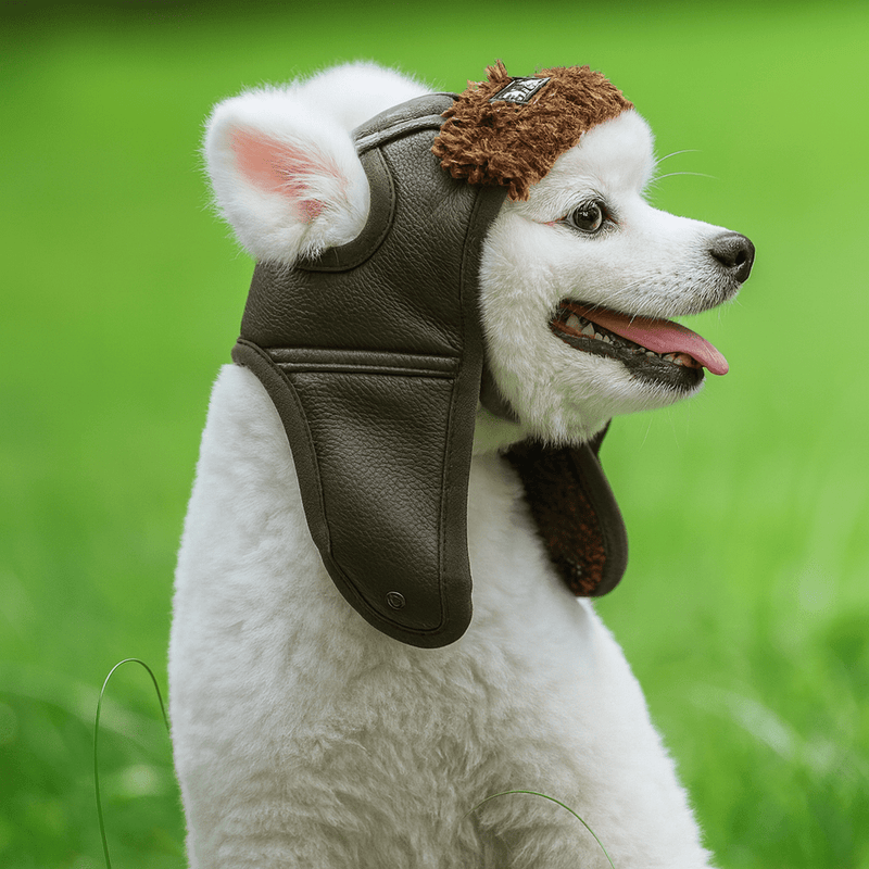 https://cdn.shopify.com/s/files/1/0647/9170/7830/files/bonnet-en-cachemire-pour-chien-4698261.webp?v=1777925648