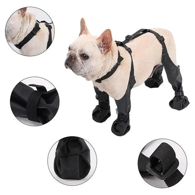https://cdn.shopify.com/s/files/1/0647/9170/7830/files/bottes-a-bretelle-pour-chien-2006694.webp?v=1777925415