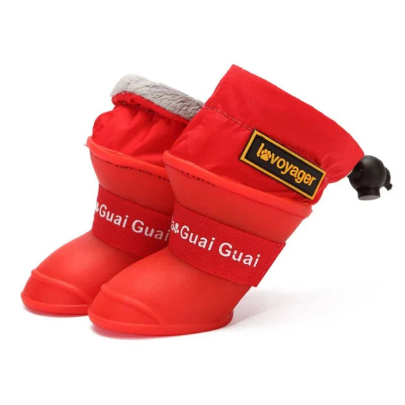 https://cdn.shopify.com/s/files/1/0647/9170/7830/files/bottes-caoutchouc-pour-chien-5418713.webp?v=1777925117