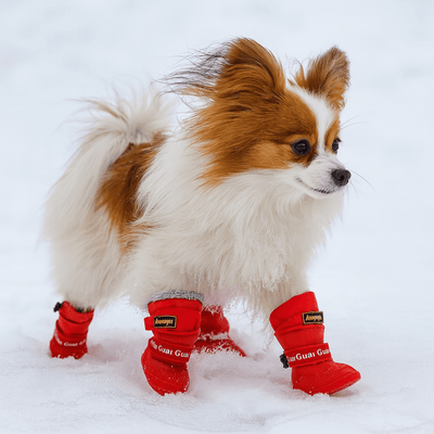 https://cdn.shopify.com/s/files/1/0647/9170/7830/files/bottes-caoutchouc-pour-chien-9178973.png?v=1777925117