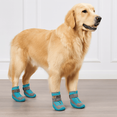 https://cdn.shopify.com/s/files/1/0647/9170/7830/files/bottes-de-protection-pour-chien-2125850.png?v=1777924938