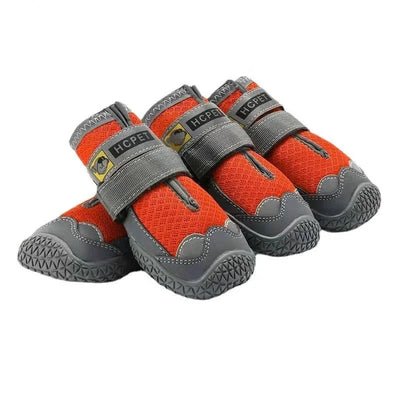 https://cdn.shopify.com/s/files/1/0647/9170/7830/files/bottes-de-protection-pour-chien-2892304.webp?v=1777924938