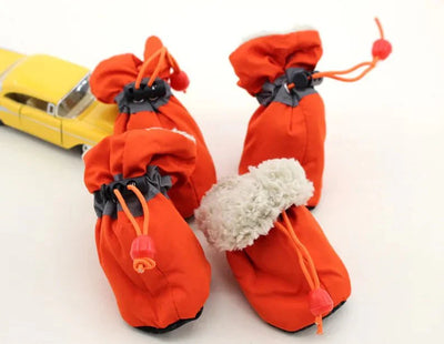 https://cdn.shopify.com/s/files/1/0647/9170/7830/files/bottes-fourrees-pour-petit-chien-9979192.webp?v=1777925113
