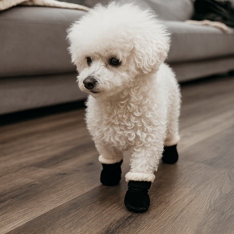 https://cdn.shopify.com/s/files/1/0647/9170/7830/files/bottes-neige-pour-chien-4279650.webp?v=1777924873