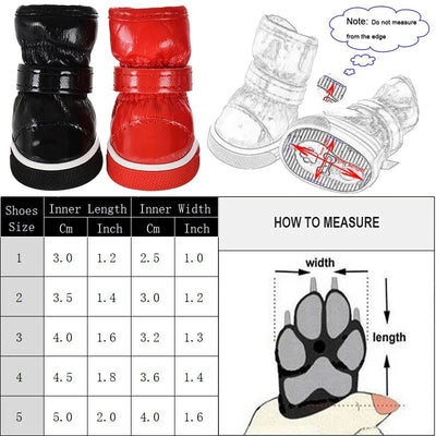 https://cdn.shopify.com/s/files/1/0647/9170/7830/files/bottes-pour-chien-neige-3379953.webp?v=1777924931