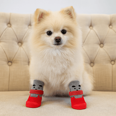 https://cdn.shopify.com/s/files/1/0647/9170/7830/files/bottes-pour-chien-qui-tiennent-4338771.png?v=1777924877