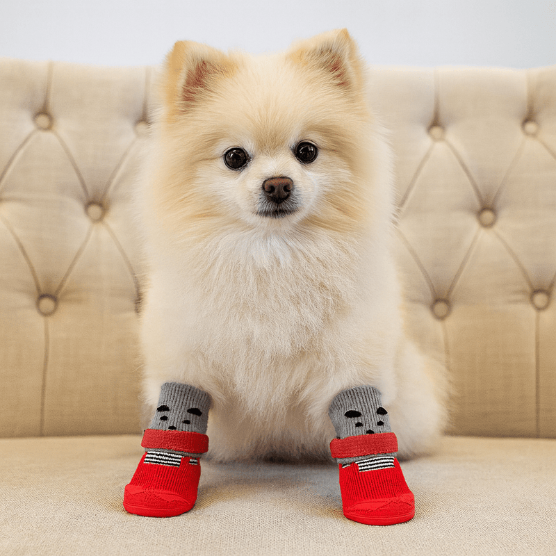 https://cdn.shopify.com/s/files/1/0647/9170/7830/files/bottes-pour-chien-qui-tiennent-7623059.webp?v=1777924876