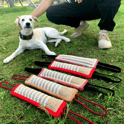 https://cdn.shopify.com/s/files/1/0763/9767/4819/files/boudin_chien_mordant_labrador.png?v=1755872426