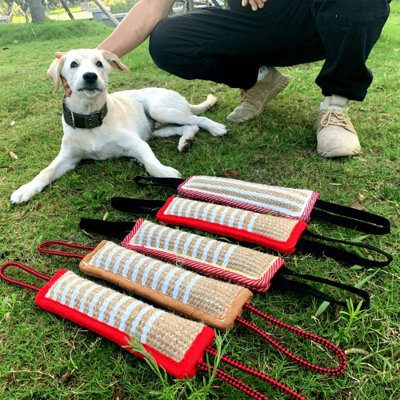 https://cdn.shopify.com/s/files/1/0763/9767/4819/files/boudin_chien_mordant_berger_allemand.png?v=1755872426