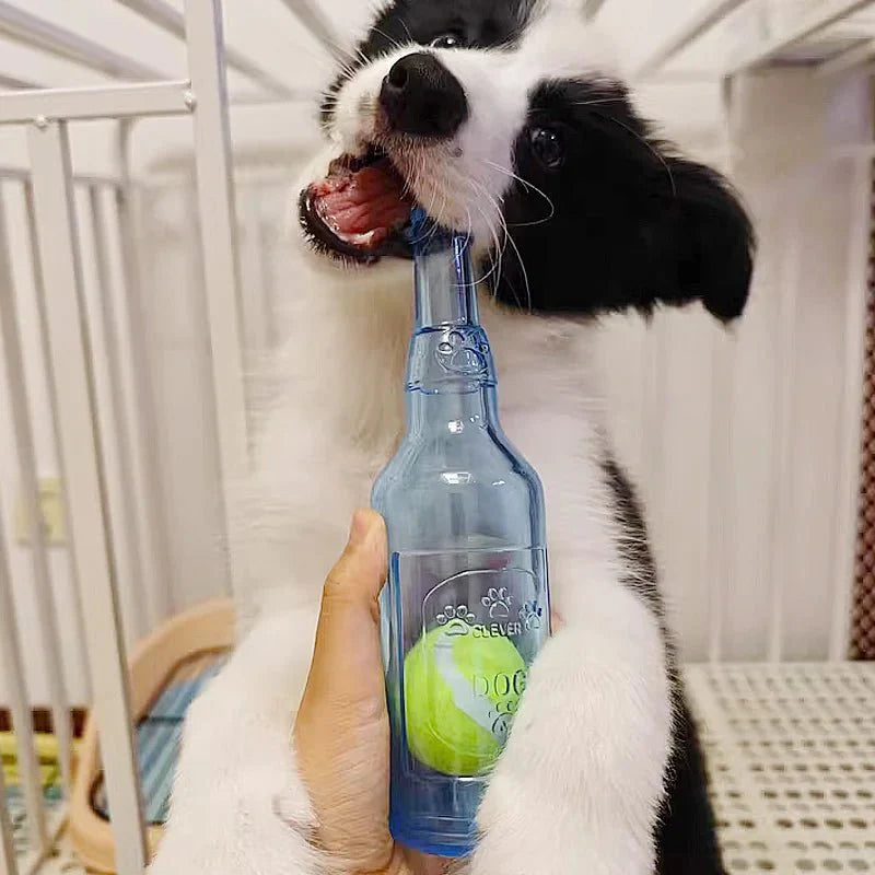 https://cdn.shopify.com/s/files/1/0647/9170/7830/files/bouteille-avec-balle-pour-chien-2800927.webp?v=1777924092