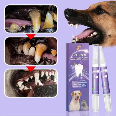 https://cdn.shopify.com/s/files/1/0647/9170/7830/files/brosse-a-dent-anti-tartre-chien-3809414.webp?v=1777924455