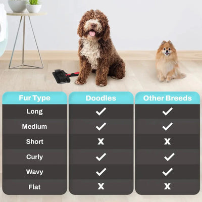 https://cdn.shopify.com/s/files/1/0647/9170/7830/files/brosse-chien-carde-double-9298517.webp?v=1777923069