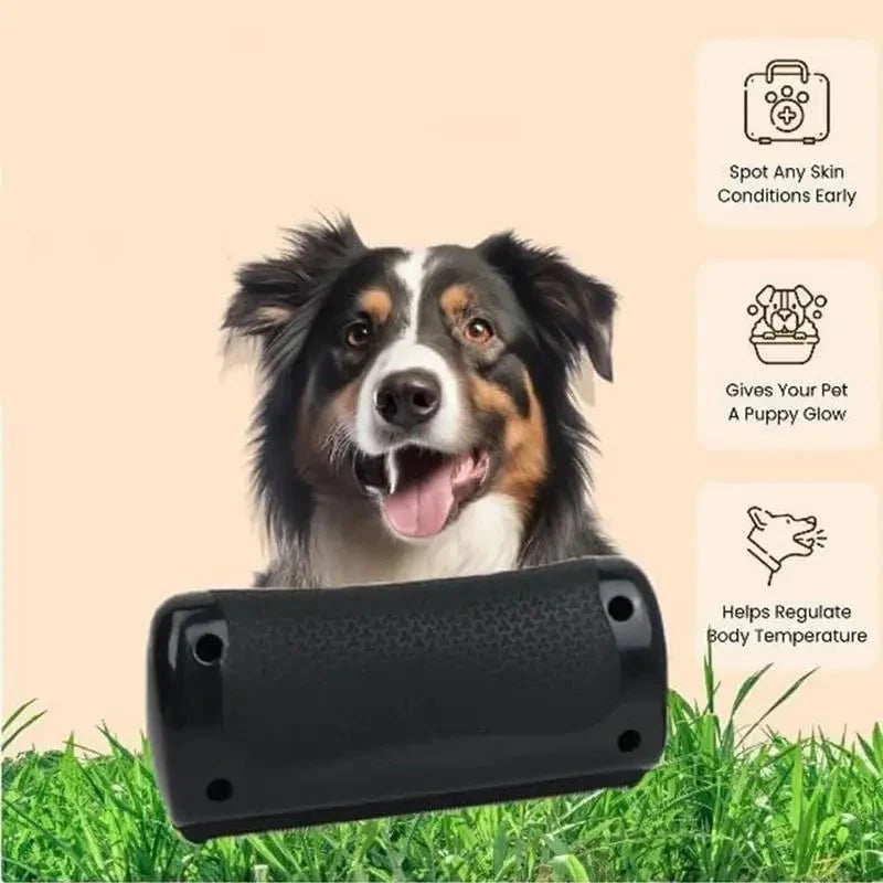 https://cdn.shopify.com/s/files/1/0647/9170/7830/files/brosse-chien-poil-ras-9893816.webp?v=1777923429