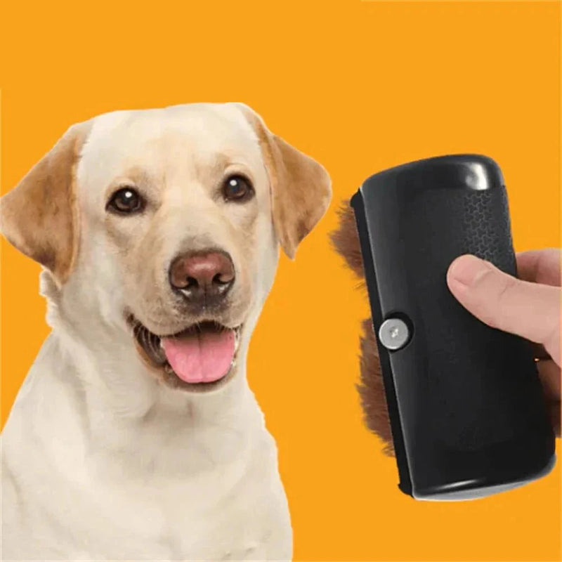 https://cdn.shopify.com/s/files/1/0647/9170/7830/files/brosse-epilation-chien-1376200.webp?v=1777924090