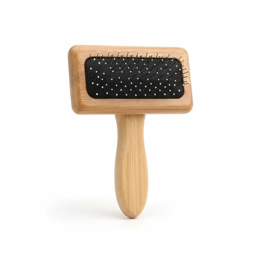 https://cdn.shopify.com/s/files/1/0647/9170/7830/files/brosse-pneumatique-chien-1264264.webp?v=1777924331
