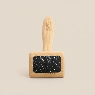 https://cdn.shopify.com/s/files/1/0647/9170/7830/files/brosse-pneumatique-chien-5432667.webp?v=1777924330