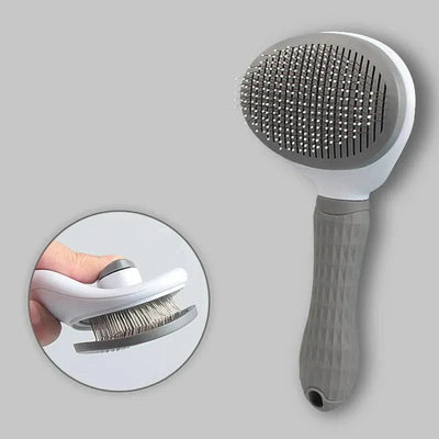 https://cdn.shopify.com/s/files/1/0647/9170/7830/files/brosse-poils-de-chien-4751500.webp?v=1777924514