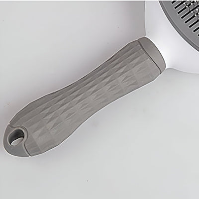 https://cdn.shopify.com/s/files/1/0647/9170/7830/files/brosse-poils-de-chien-6579731.jpg?v=1777924515