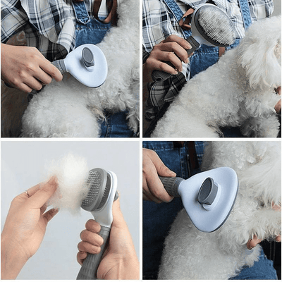 https://cdn.shopify.com/s/files/1/0763/9767/4819/files/brosse_pour_toilettage_chien_exemple.png?v=1727100366