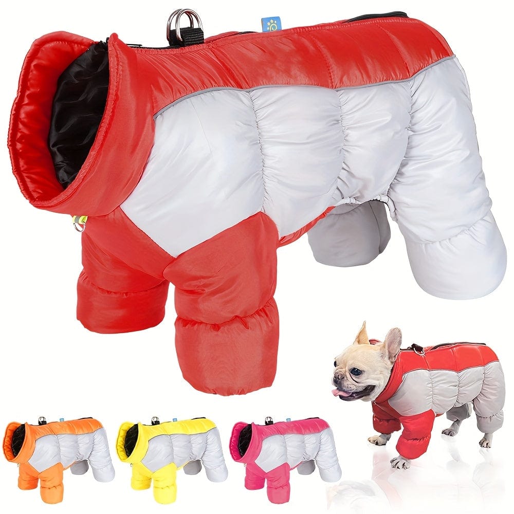 https://cdn.shopify.com/s/files/1/0489/2898/1148/files/c7f8f32a-cefe-478a-a0b0-936f07455dc9.jpg?v=1755845928