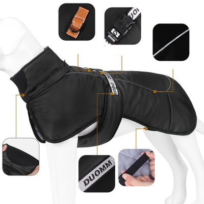 https://cdn.shopify.com/s/files/1/0489/2898/1148/files/c8b9614f-aec7-4a30-9edc-d376b32ecc5b.jpg?v=1755752280