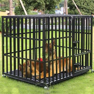 https://cdn.shopify.com/s/files/1/0647/9170/7830/files/cage-exterieur-et-interieur-pour-chien-3420322.webp?v=1777925230