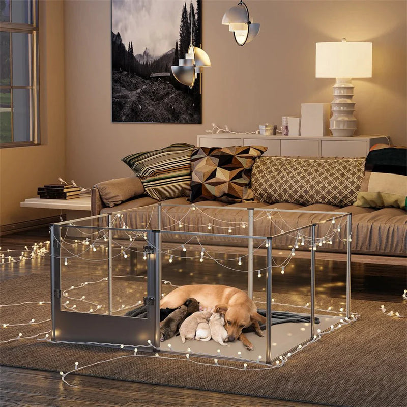 https://cdn.shopify.com/s/files/1/0647/9170/7830/files/cage-transparente-pour-chien-4943823.webp?v=1777925168