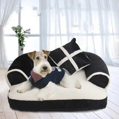 https://cdn.shopify.com/s/files/1/0647/9170/7830/files/canape-design-pour-petit-chien-6903030.webp?v=1777924212