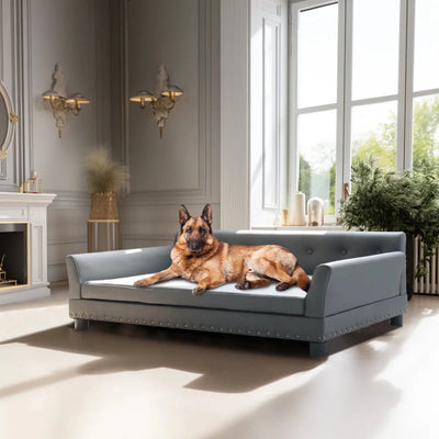 https://cdn.shopify.com/s/files/1/0647/9170/7830/files/canape-pour-2-places-chien-xxl-7987646.webp?v=1777923309