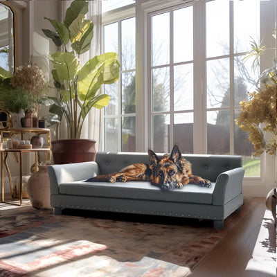https://cdn.shopify.com/s/files/1/0647/9170/7830/files/canape-pour-2-places-chien-xxl-9952836.webp?v=1777923310