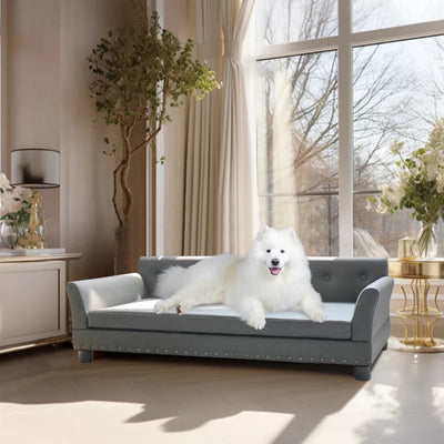 https://cdn.shopify.com/s/files/1/0647/9170/7830/files/canape-pour-tres-grand-chien-2918499.webp?v=1777925412