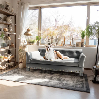 https://cdn.shopify.com/s/files/1/0647/9170/7830/files/canape-pour-tres-grand-chien-5145329.webp?v=1777925413