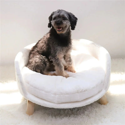 https://cdn.shopify.com/s/files/1/0647/9170/7830/files/canape-sureleve-pour-petit-chien-5721797.webp?v=1777925290