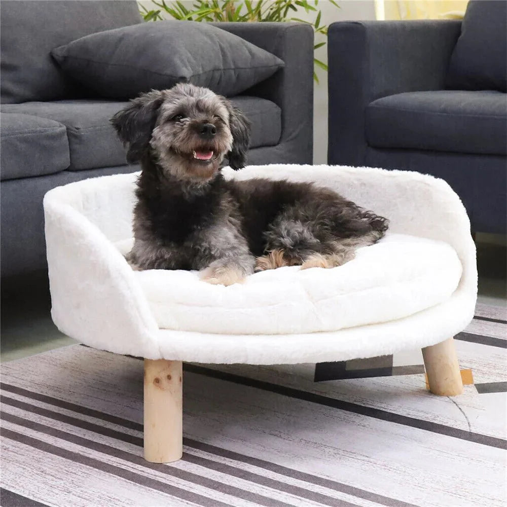 https://cdn.shopify.com/s/files/1/0647/9170/7830/files/canape-sureleve-pour-petit-chien-7514242.webp?v=1777925290