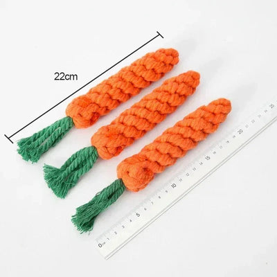 https://cdn.shopify.com/s/files/1/0647/9170/7830/files/carotte-en-corde-pour-chien-5275331.webp?v=1777925174