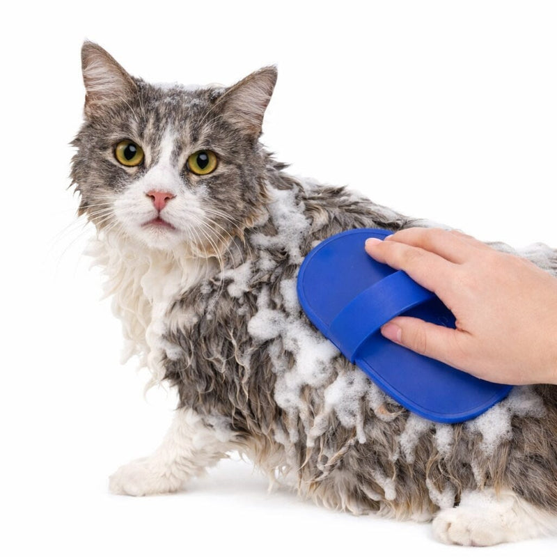 https://cdn.shopify.com/s/files/1/0489/2898/1148/files/dogbrush.jpg?v=1772803960