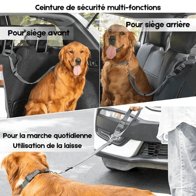 https://cdn.shopify.com/s/files/1/0647/9170/7830/files/ceinture-de-securite-2en1-pour-chien-1413932.png?v=1777925359