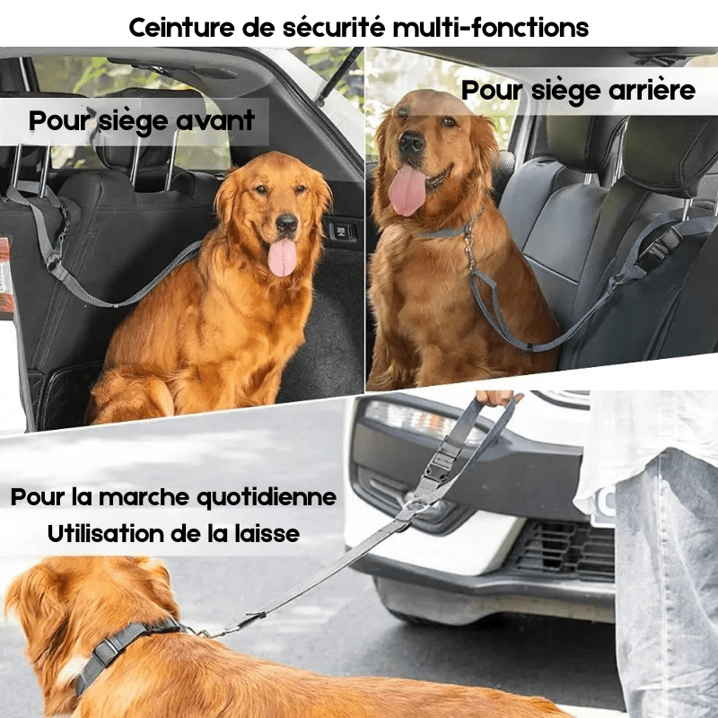 https://cdn.shopify.com/s/files/1/0647/9170/7830/files/ceinture-de-securite-2en1-pour-chien-2030620.webp?v=1777925359
