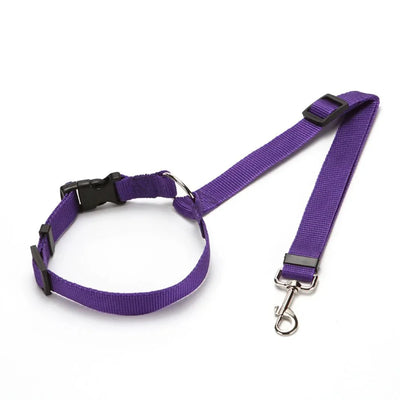 https://cdn.shopify.com/s/files/1/0647/9170/7830/files/ceinture-de-securite-2en1-pour-chien-1501454.webp?v=1777925360