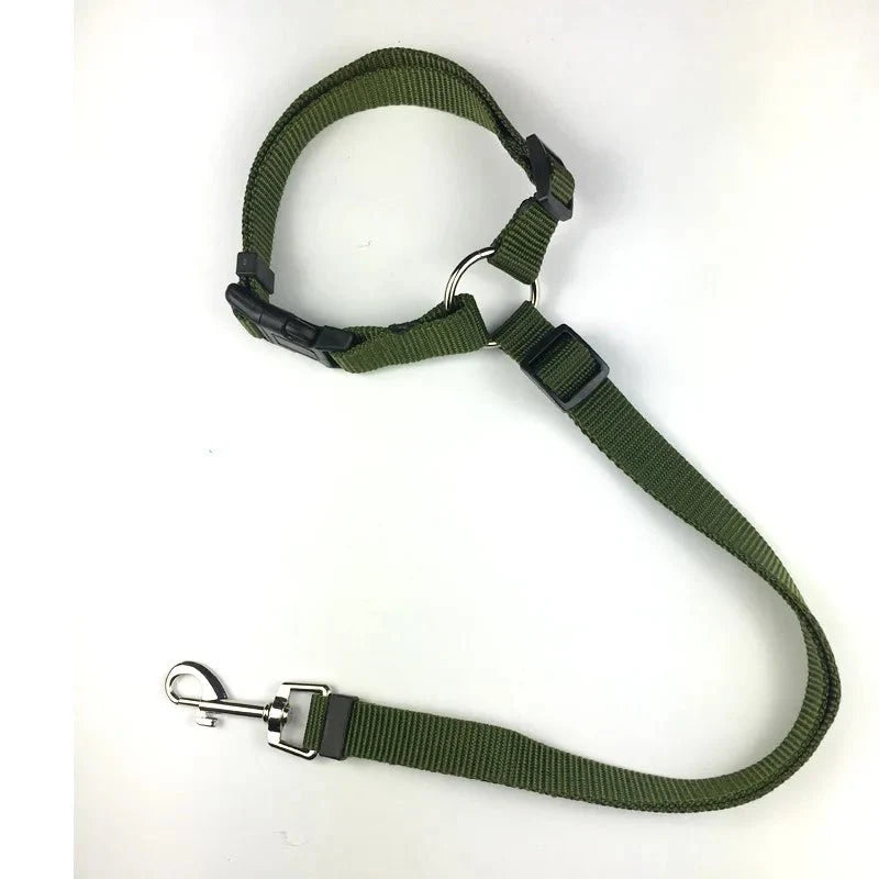 https://cdn.shopify.com/s/files/1/0647/9170/7830/files/ceinture-de-securite-2en1-pour-chien-2030620.webp?v=1777925359