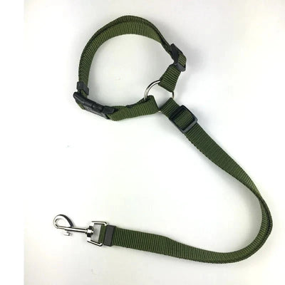 https://cdn.shopify.com/s/files/1/0647/9170/7830/files/ceinture-de-securite-2en1-pour-chien-2030620.webp?v=1777925359