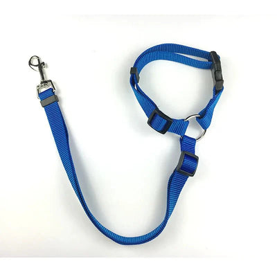 https://cdn.shopify.com/s/files/1/0647/9170/7830/files/ceinture-de-securite-2en1-pour-chien-2387225.webp?v=1777925360