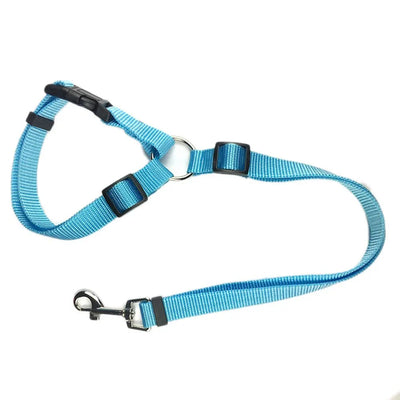 https://cdn.shopify.com/s/files/1/0647/9170/7830/files/ceinture-de-securite-2en1-pour-chien-4839467.webp?v=1777925359