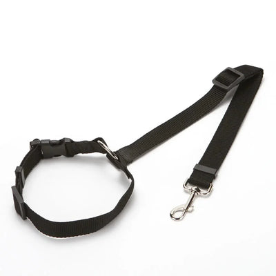 https://cdn.shopify.com/s/files/1/0647/9170/7830/files/ceinture-de-securite-2en1-pour-chien-7892894.webp?v=1777925360