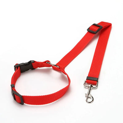 https://cdn.shopify.com/s/files/1/0647/9170/7830/files/ceinture-de-securite-2en1-pour-chien-8727022.webp?v=1777925359