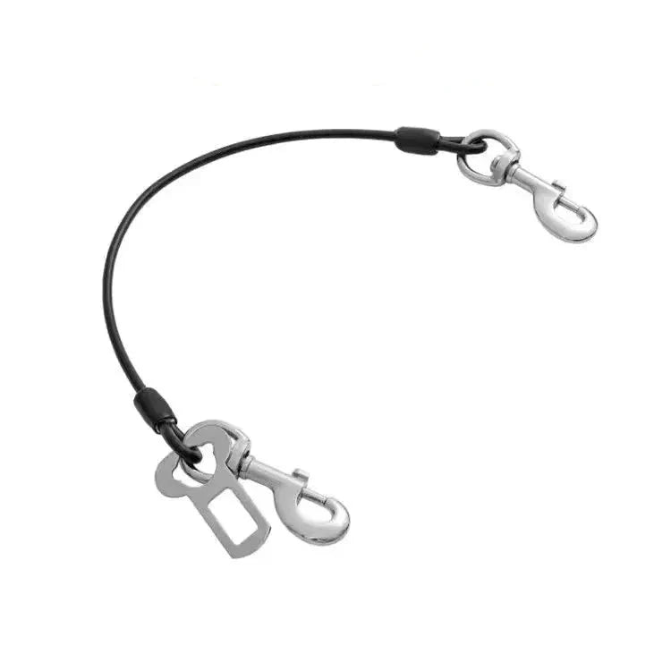 https://cdn.shopify.com/s/files/1/0647/9170/7830/files/ceinture-de-securite-anti-morsure-pour-chien-6447944.webp?v=1777925106