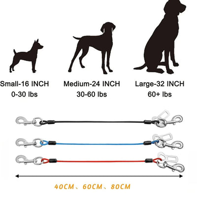 https://cdn.shopify.com/s/files/1/0647/9170/7830/files/ceinture-de-securite-anti-morsure-pour-chien-7505586.webp?v=1777925106