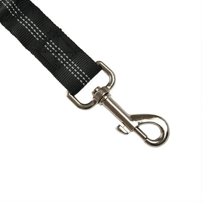 https://cdn.shopify.com/s/files/1/0647/9170/7830/files/ceinture-de-securite-elastique-pour-chien-2364007.webp?v=1777924995